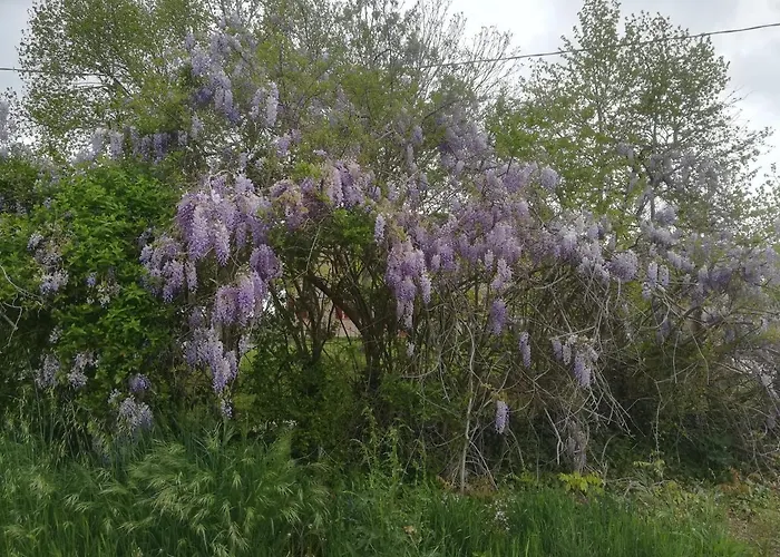 Al Vecchio Noce Bed & Breakfast